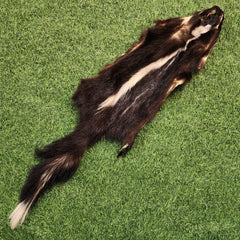 Skunk Fur, D