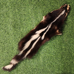 Skunk Fur, E