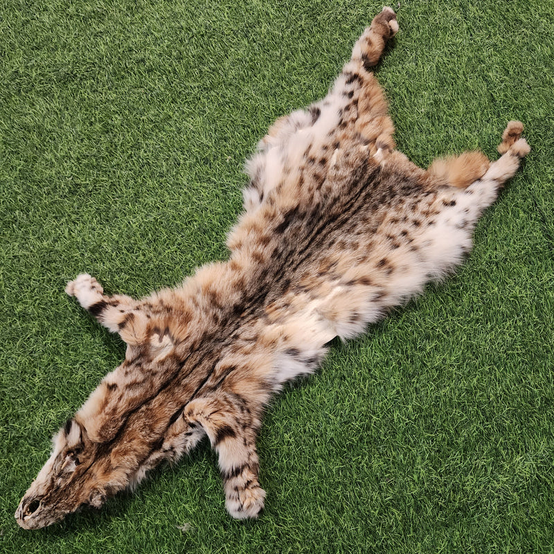 Bobcat Fur, Salvaged