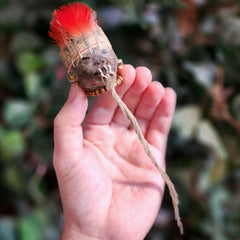 Shrunken Head (Ex-Museum)