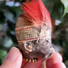 Shrunken Head (Ex-Museum)