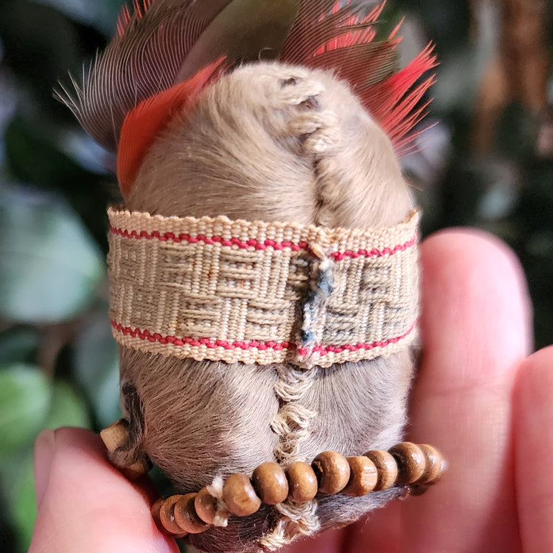 Shrunken Head (Ex-Museum)