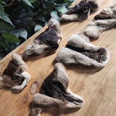 Otter Face Furs