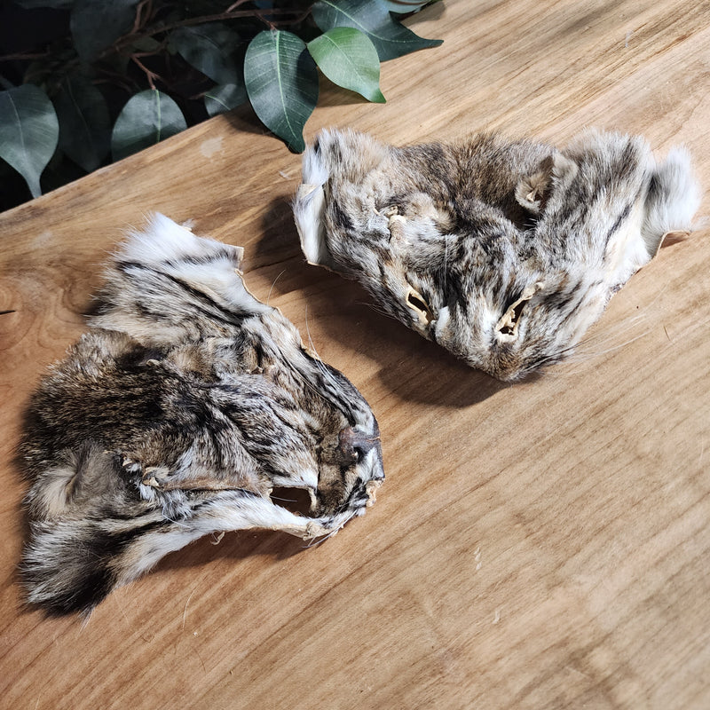 Bobcat Face Furs