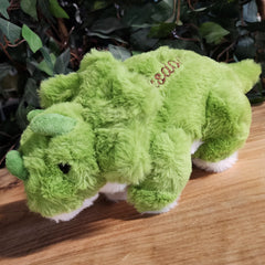 Triceratops Plushies, Wisdom