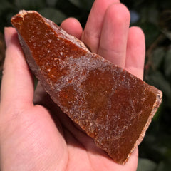 Polished Dinosaur Bone, K (4
