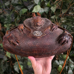 Armadillo Purse Taxidermy, Vintage (Ex-Museum)