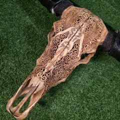 Water Buffalo Skull (Goddess Carving)