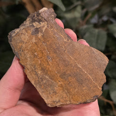 Dinosaur Bone Fragment F