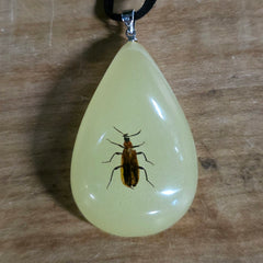 Insect Necklaces A, Glow In The Dark