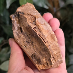Woolly Mammoth Tusk Fragment C (3.75