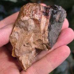 Woolly Mammoth Tusk Fragment D (2.5