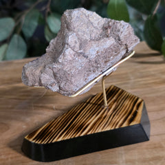 Allosaurus Dinosaur Bone Fragment, C