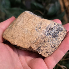 Dinosaur Bone Fragment J