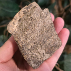 Dinosaur Bone Fragment J
