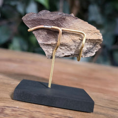 Tyrannosaurus Rex Bone Fragment K