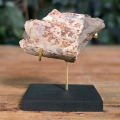 Tyrannosaurus Rex Bone Fragment K