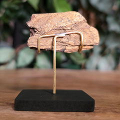 Tyrannosaurus Rex Bone Fragment L