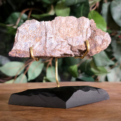Allosaurus Bone Fragment L