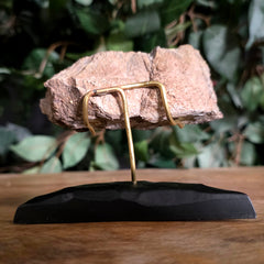 Allosaurus Bone Fragment L