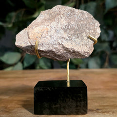 Allosaurus Bone Fragment M