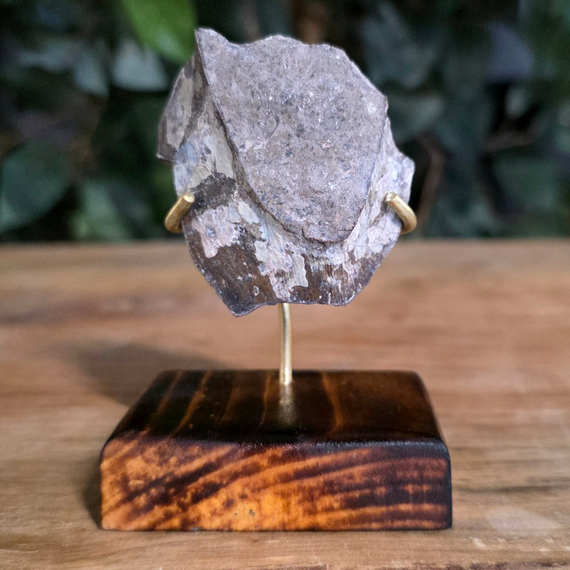 Allosaurus Bone Fragment N