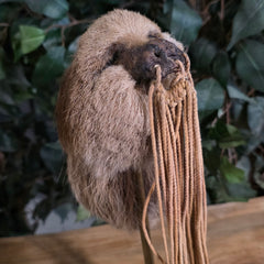 Sloth Shrunken Head (Ex-Museum)