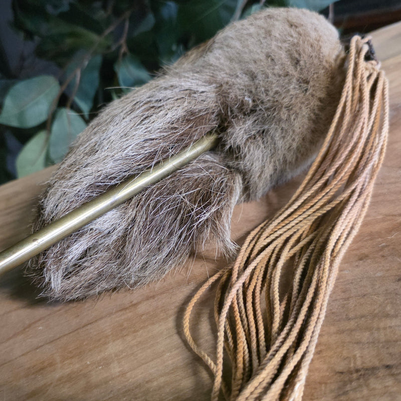 Sloth Shrunken Head (Ex-Museum)