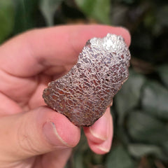 Polished Dinosaur Bone, M (1.5