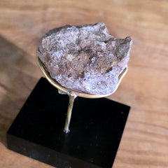 Allosaurus Bone Fragment P