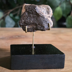 NWA Meteorite, On Stand F (40g)