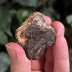 NWA Meteorite, On Stand F (40g)