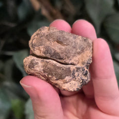 NWA Meteorite, On Stand F (40g)