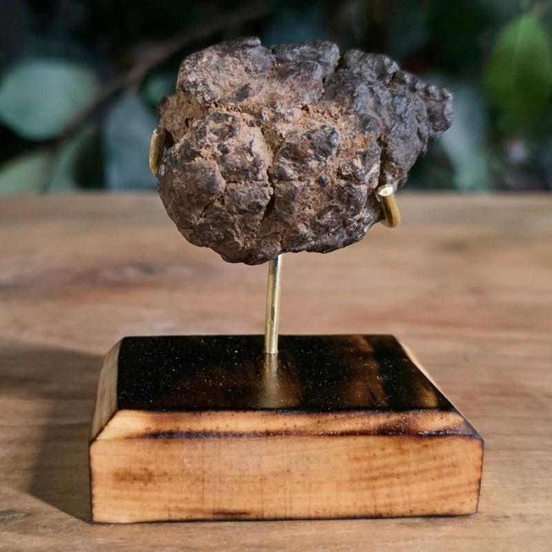NWA Meteorite, On Stand G (53g)