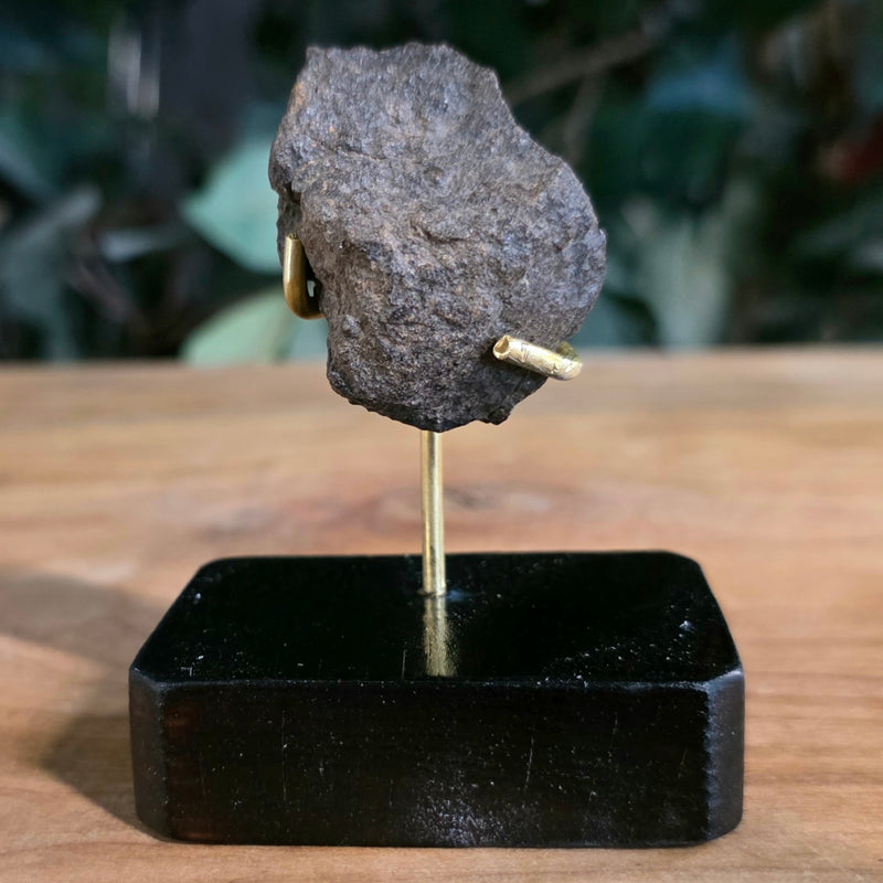 NWA Meteorite, On Stand H (32g)