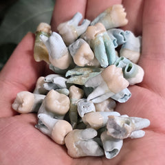 Human Teeth, Blue Stained