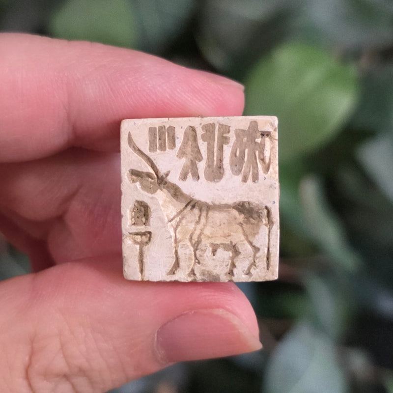 Indus Valley Unicorn Seal, H