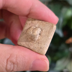 Indus Valley Unicorn Seal, i