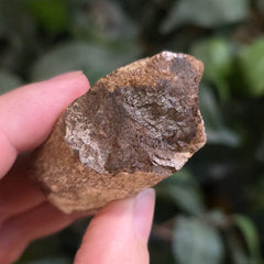 Dinosaur Rib Bone Fragment A