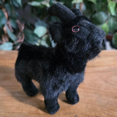 Black Goat Plushies