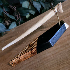 Narwhal Tusk, A (Unerupted)