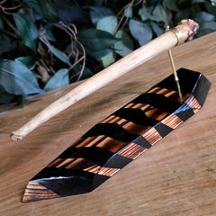 Narwhal Tusk, B (Unerupted)