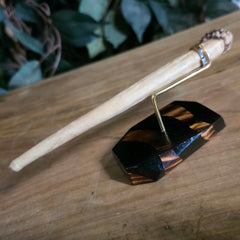 Narwhal Tusk, D (Unerupted)
