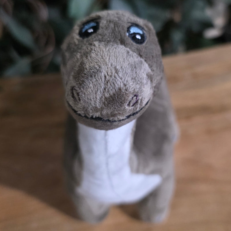 Brontosaurus Dinosaur Plushies
