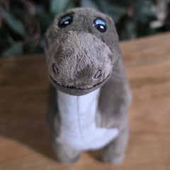 Brontosaurus Dinosaur Plushies