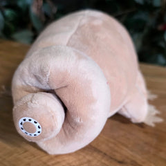 Water Bear Tardigrade Plushies
