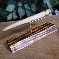 Narwhal Tusk, E (Unerupted)