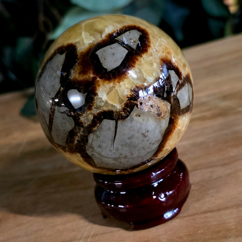 Septarian Sphere (2")