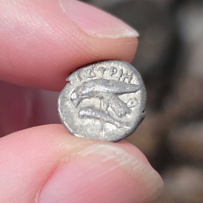 Greek Silver Drachm, Solar Eclipse Coin A (Apollo, Sea-Eagle, Dolphin)