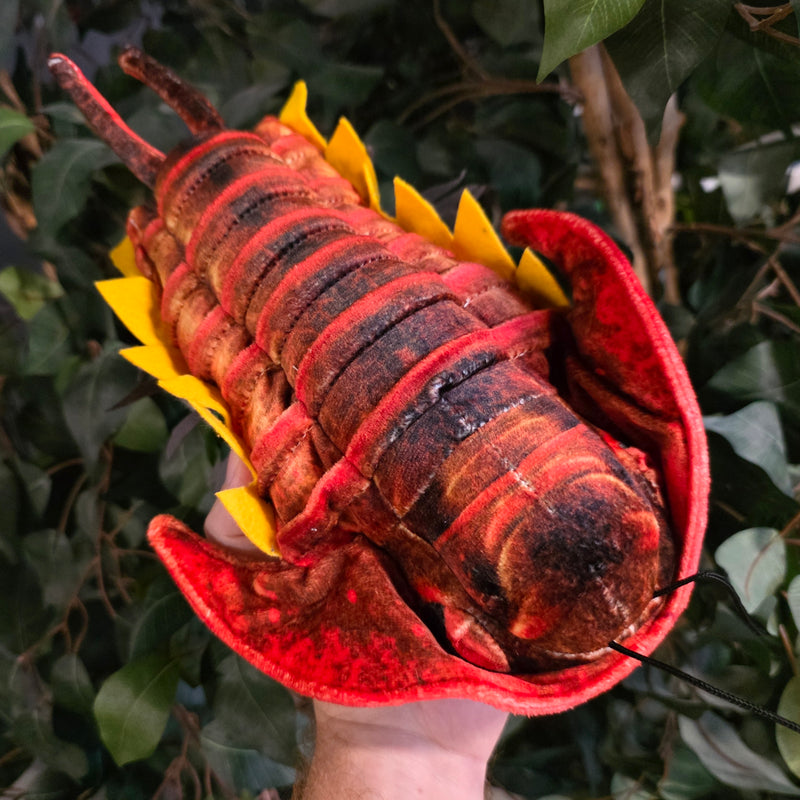 Trilobite Plushies